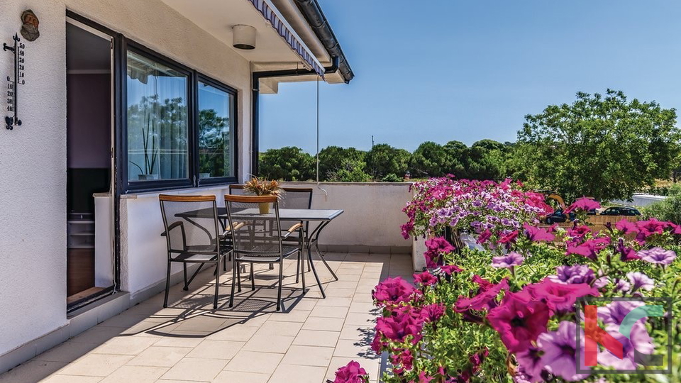 PULA&comma; KA&Scaron;TANJER&comma; KU&Cacute;A SA DVA STANA &num;PRODAJA