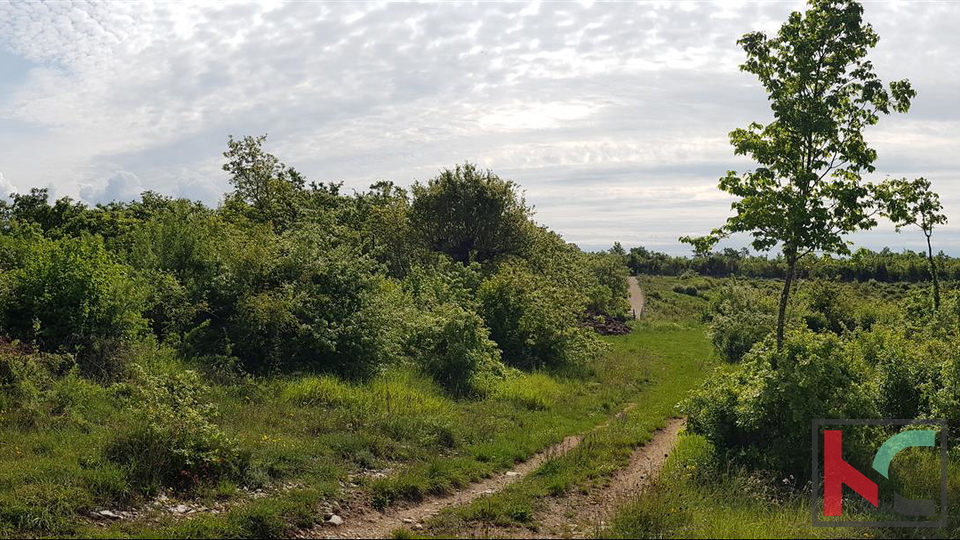 Istria - Marčana house on a quiet location with 26.288 m2 garden