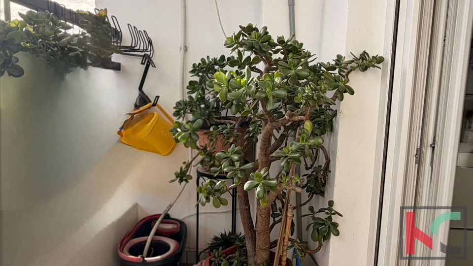 PULA&comma; VIDIKOVAC&comma; LIJEPI OBITELJSKI STAN 2SS&plus;DB &num;PRODAJA