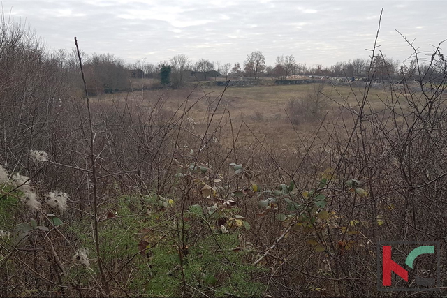 Istra, Kanfanar, Marići građevinsko zemljište 3671m2