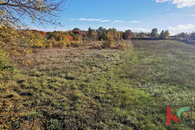 Istra, Kanfanar, Marići građevinsko zemljište 3671m2