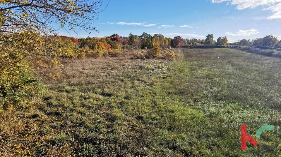 Land, 3671 m2, For Sale, Kanfanar - Marići