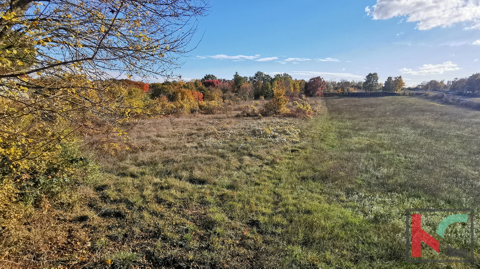 Istra, Kanfanar, Marići građevinsko zemljište 3671m2