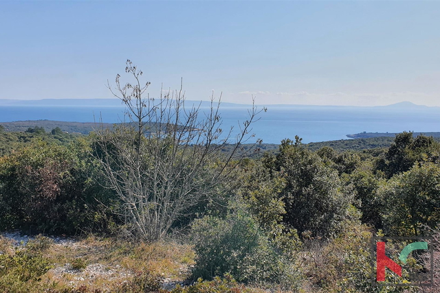 Istria - Pavićini - Duga uvala, land 9000m2 with panoramic sea views