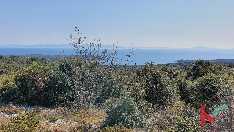 Istra - Pavićini - Duga uvala, zemljišče 9000m2 s panoramskim pogledom na morje