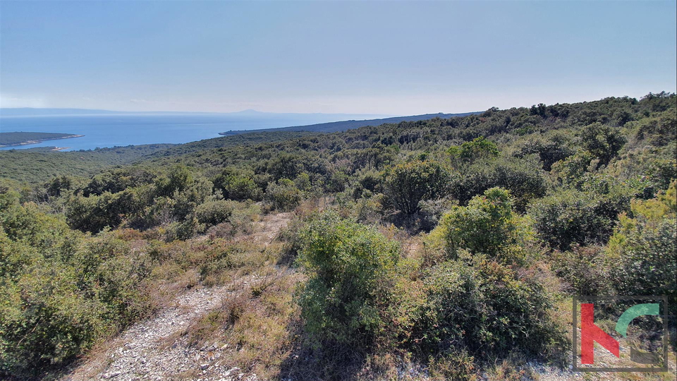 Istria - Pavićini - Duga uvala, terreno 9000m2 con vista panoramica sul mare