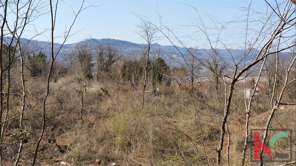 Istria - Potpićan building land 10.128m2