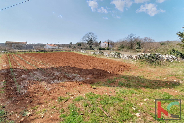 Istra - Barban, 4 stare autohtone kuće na prostranoj okućnici