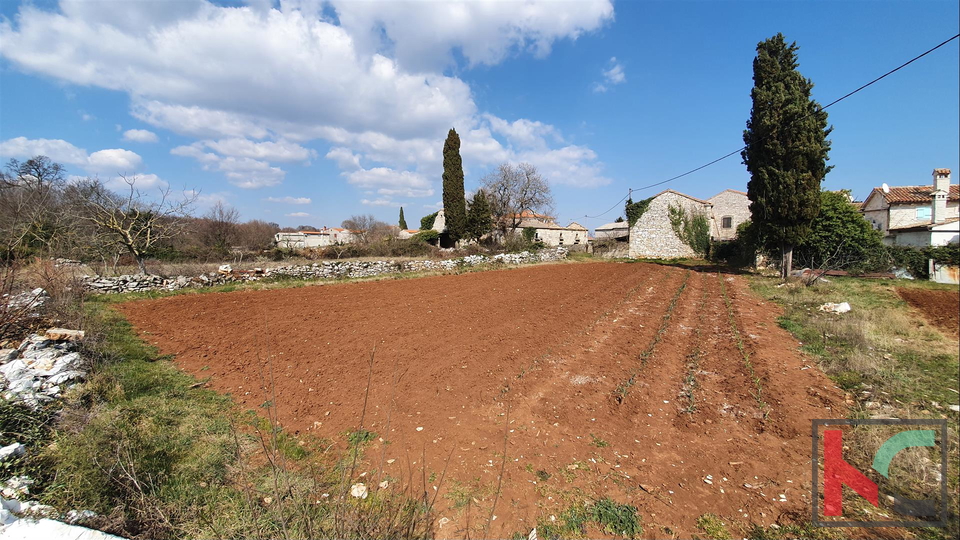 Istra - Barban, 4 stare hiše na prostornem vrtu