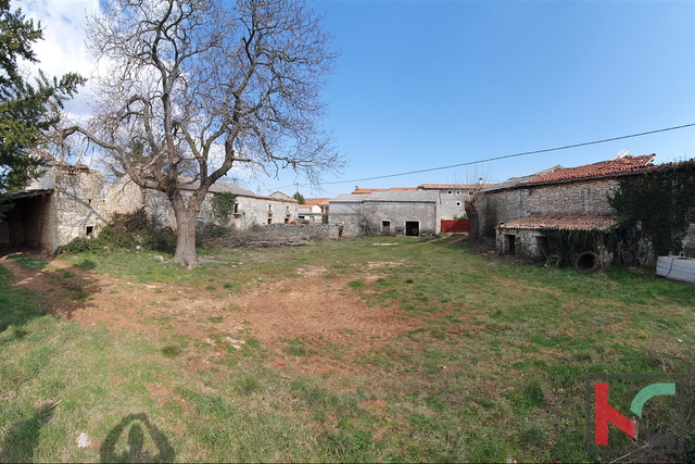 Istria - Barban, 4 old houses in a spacious garden