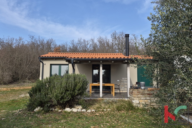 Land, 12171 m2, For Sale, Svetvinčenat - Juršići