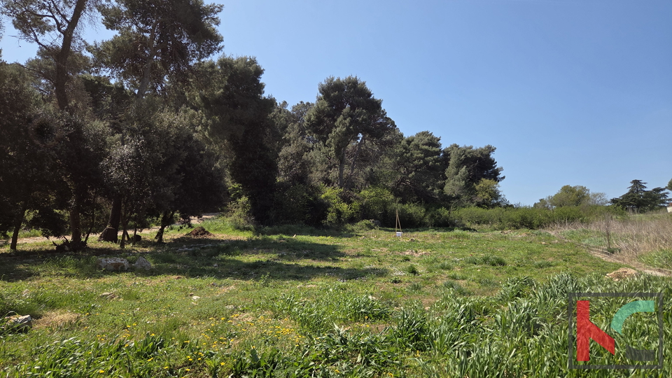 Land&comma; 523 m2&comma; For Sale&comma; Li&zcaron;njan