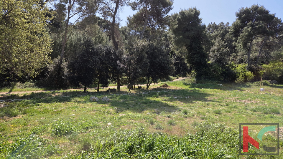 Land&comma; 523 m2&comma; For Sale&comma; Li&zcaron;njan