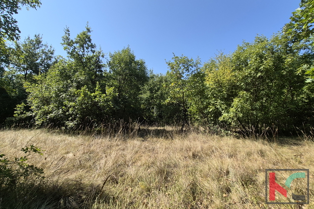 VODNJAN, OKOLICA, GRAĐEVINSKO I POLJOPRIVREDNO ZEMLJIŠTE #PRODAJA