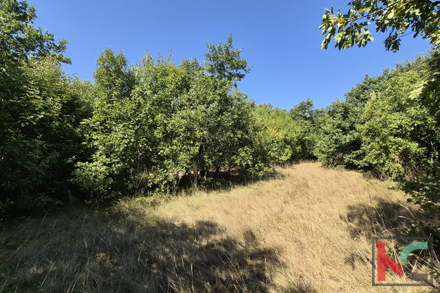 VODNJAN, OKOLICA, GRAĐEVINSKO I POLJOPRIVREDNO ZEMLJIŠTE #PRODAJA