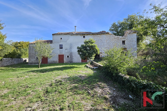 VODNJAN – RIJETKA STANCIJA NA 36.500 M², OKO 4.000 M² URBANIZIRANOG ZEMLJIŠTA, #PRODAJA