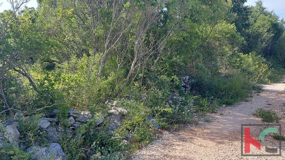 Dignano, terreno agricolo 18357m2