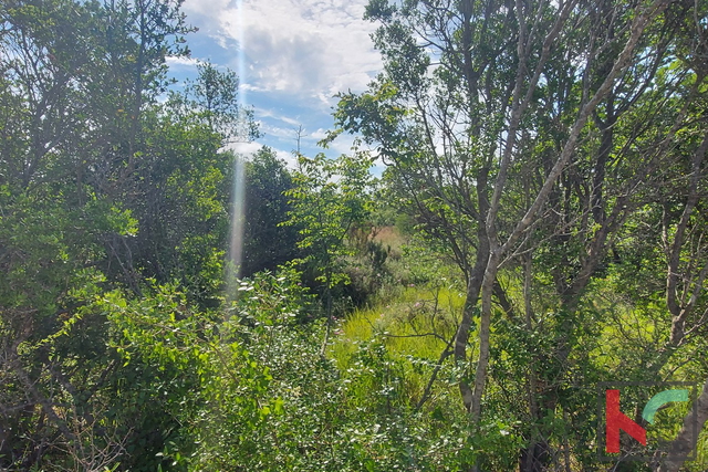 Vodnjan, agricultural land 18357m2