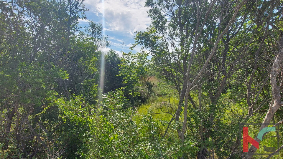 Vodnjan, poljoprivredno zemljište 18357m2