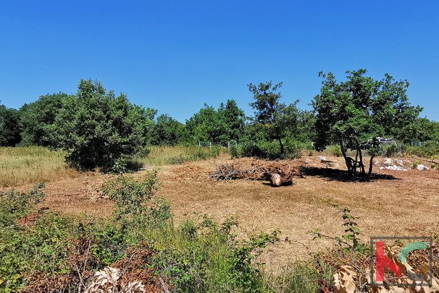 Istria, Lisignano, Valtura, terreno agricolo 582m2