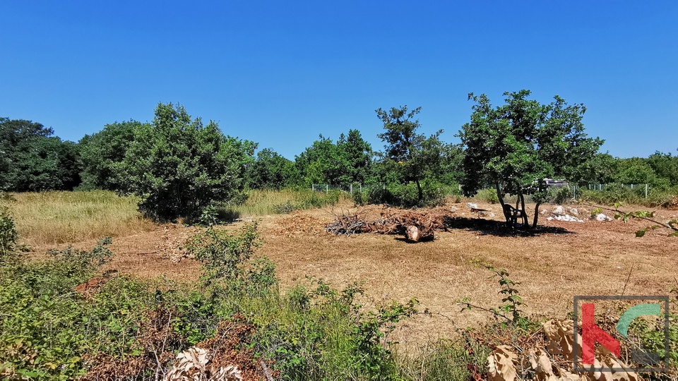 Istria, Lisignano, Valtura, terreno agricolo 582m2