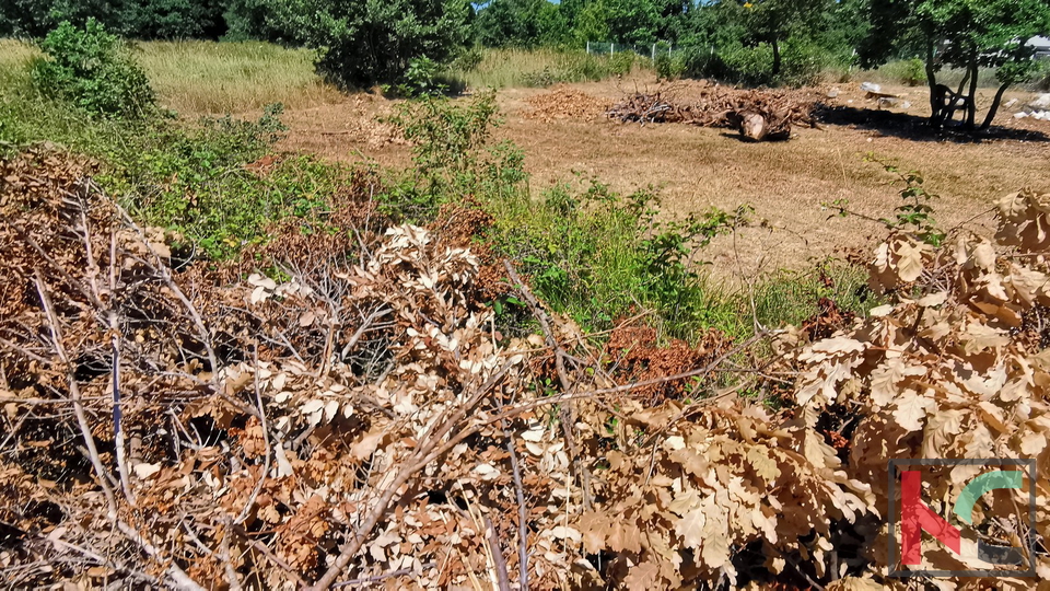 Istria, Lisignano, Valtura, terreno agricolo 582m2