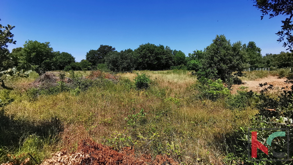 Istria, Lisignano, Valtura, terreno agricolo 582m2