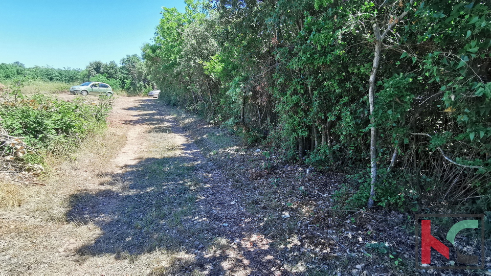 Istria, Lisignano, Valtura, terreno agricolo 582m2