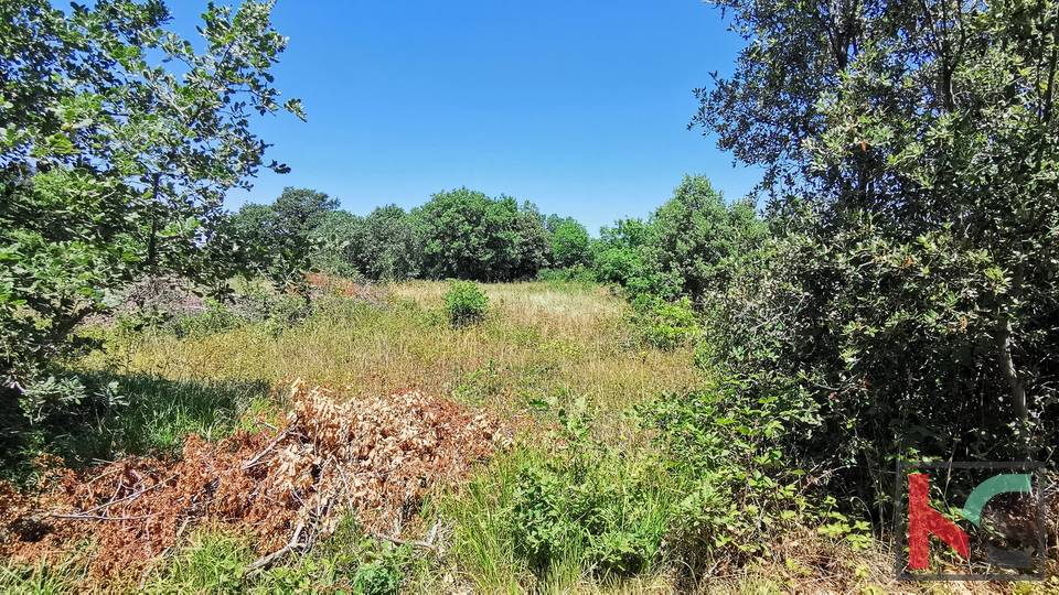 Istria, Lisignano, Valtura, terreno agricolo 582m2