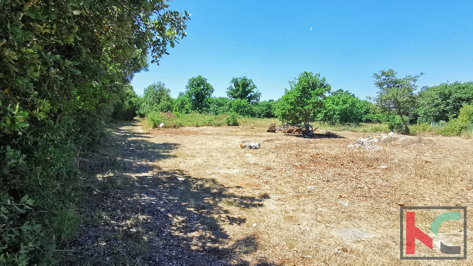 Istria, Lisignano, Valtura, terreno agricolo 582m2