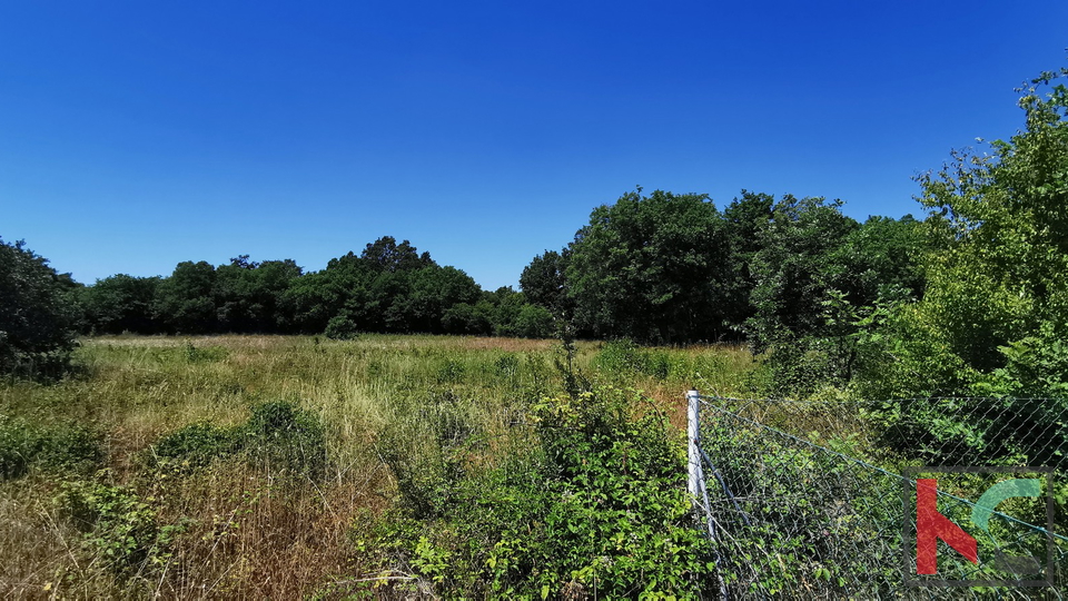 Istria, Lisignano, Valtura, terreno agricolo 582m2