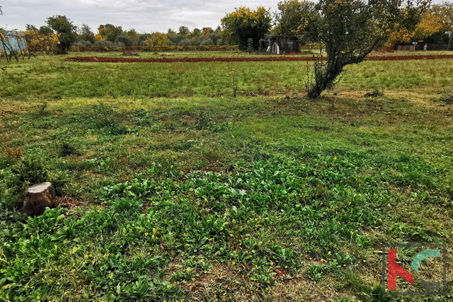 Pula, Busoler, zazidljivo zemljišče 603m2 pravilnega formata