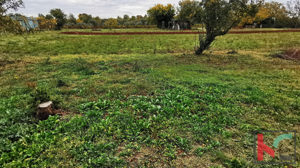 Pula, Busoler, zazidljivo zemljišče 603m2 pravilnega formata