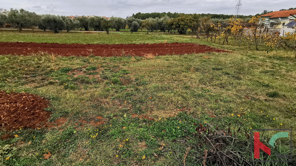 Pula, Busoler, zazidljivo zemljišče 603m2 pravilnega formata