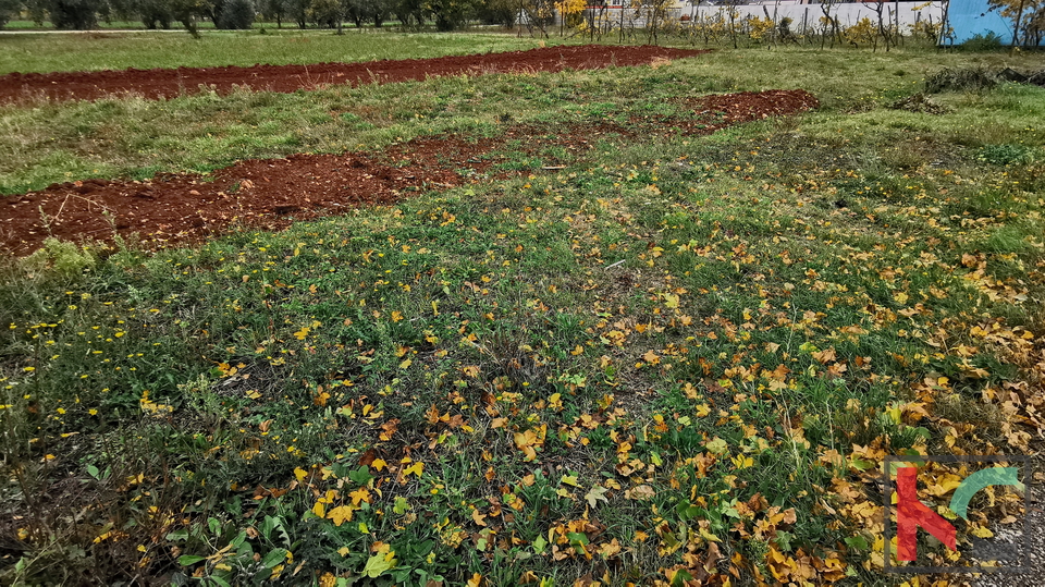 Pula, Busoler, zazidljivo zemljišče 603m2 pravilnega formata