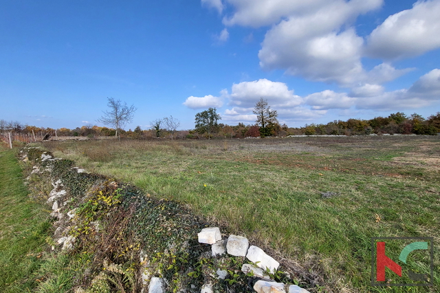 Istria - Svetvincenat, land 5700m2 in a quiet location