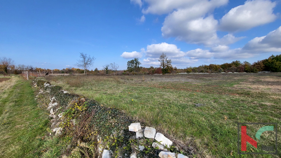 Istrien - Svetvincenat, Grundstück 5700m2 in ruhiger Lage