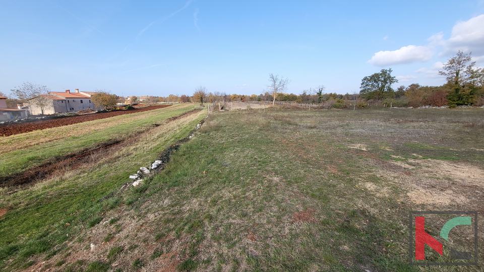 Istrien - Svetvincenat, Grundstück 5700m2 in ruhiger Lage