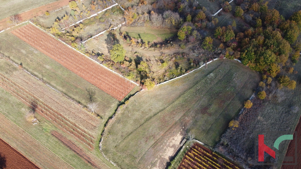 Istrien - Svetvincenat, Grundstück 5700m2 in ruhiger Lage