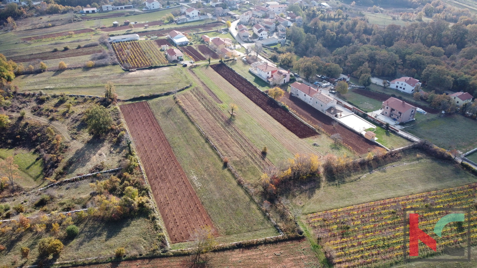 Istrien - Svetvincenat, Grundstück 5700m2 in ruhiger Lage