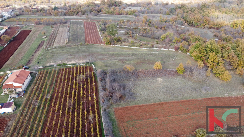 Istrien - Svetvincenat, Grundstück 5700m2 in ruhiger Lage