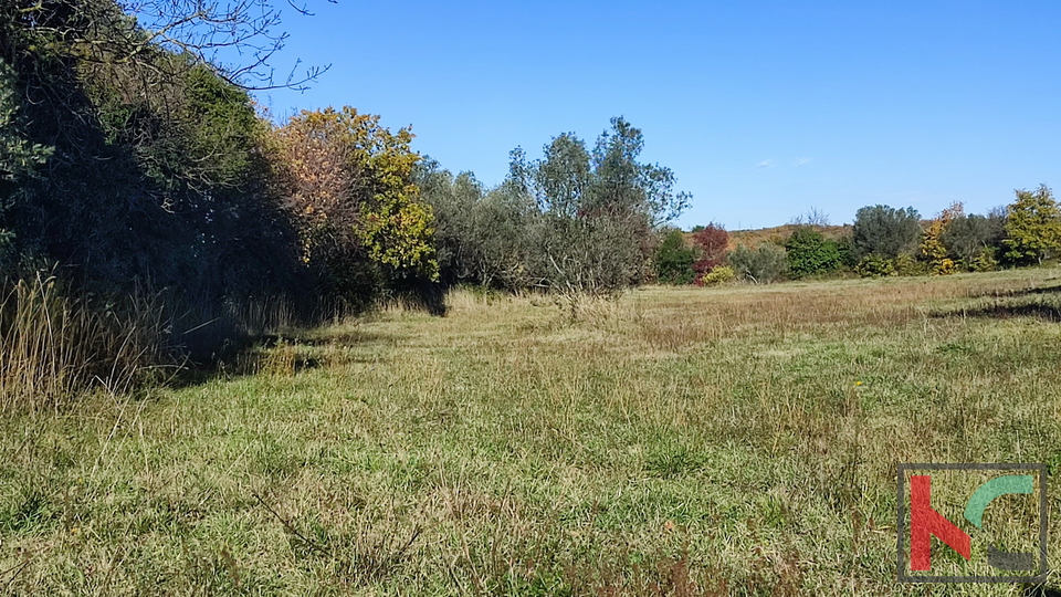 Istrien, Peroj, unbebautes Grundstück 2942m2 in der Nähe von Fažana