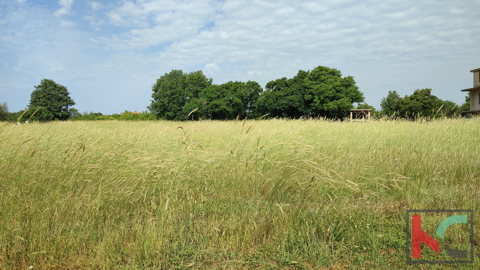 Istria, Šišan, terreno edificabile 3000m2 del formato corretto