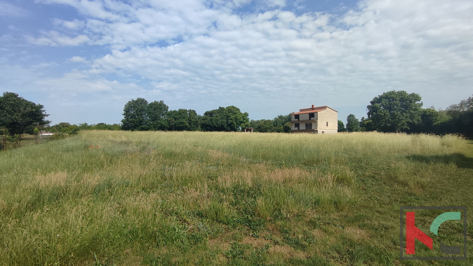 Istria, Šišan, terreno edificabile 3000m2 del formato corretto