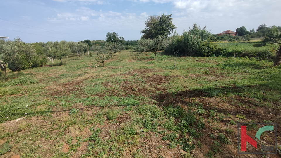 Istria, Šišan, casa non finita su un terreno di 4824m2