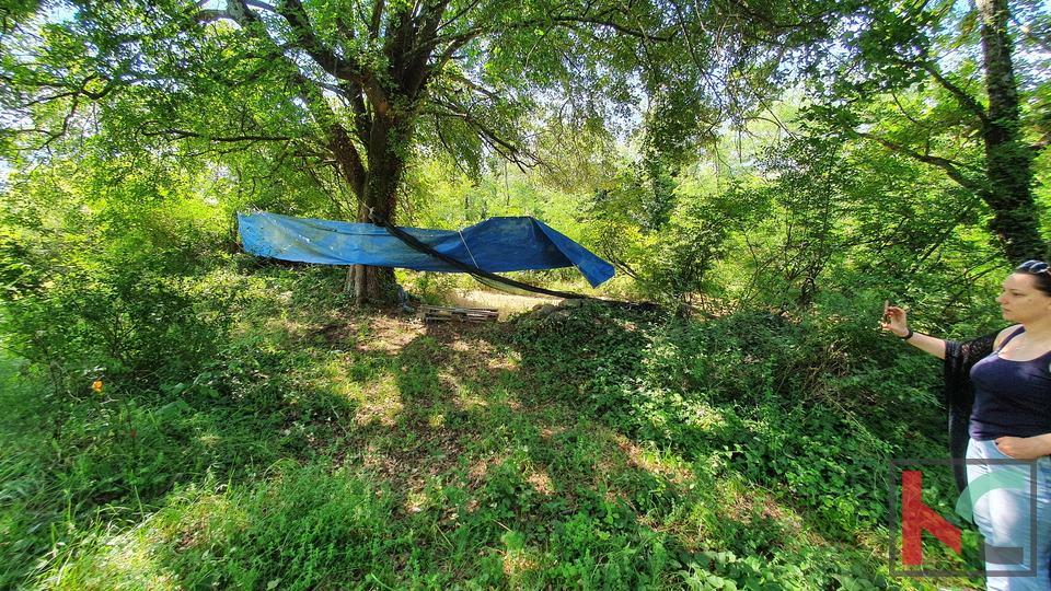 Zemljišče, 1500 m2, Prodaja, Barban - Manjadvorci