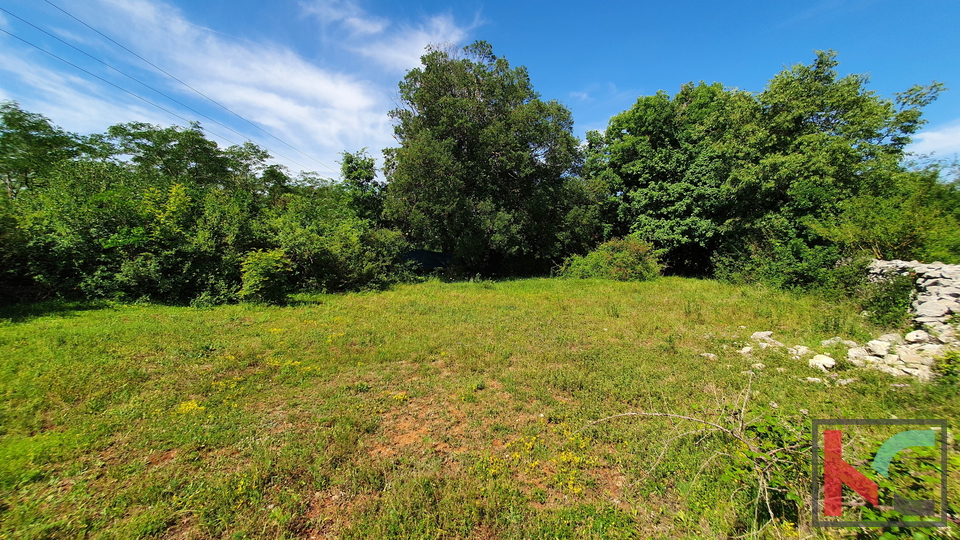 Zemljišče, 1500 m2, Prodaja, Barban - Manjadvorci