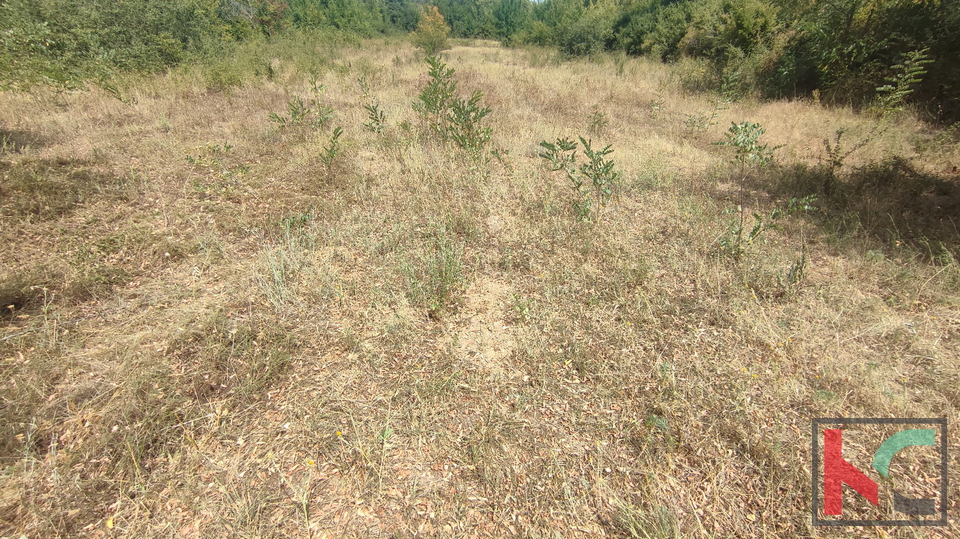 Manjadvorci, terreno 970, terreno di formato regolare