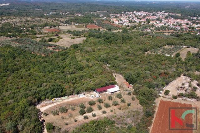 Ровинь, Ровиньско Село, оливковая роща 3307м2