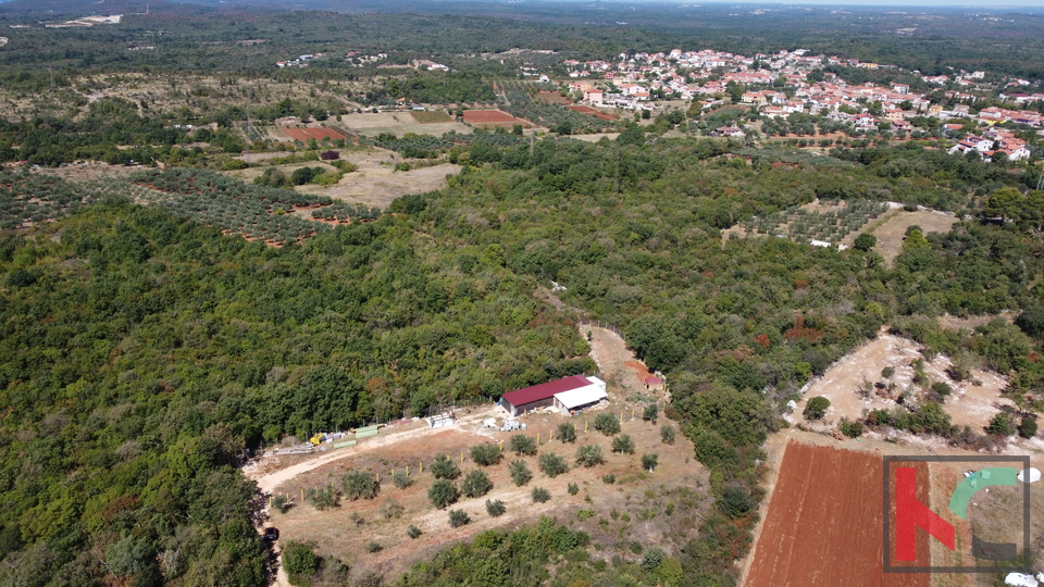 Ровинь, Ровиньско Село, оливковая роща 3307м2